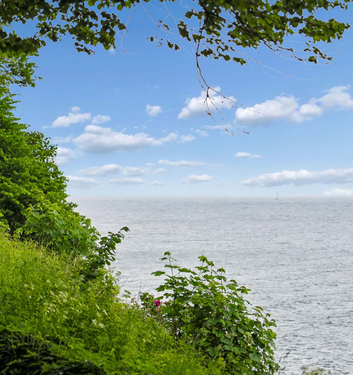 Udsigt over Øresund fra grøn klint