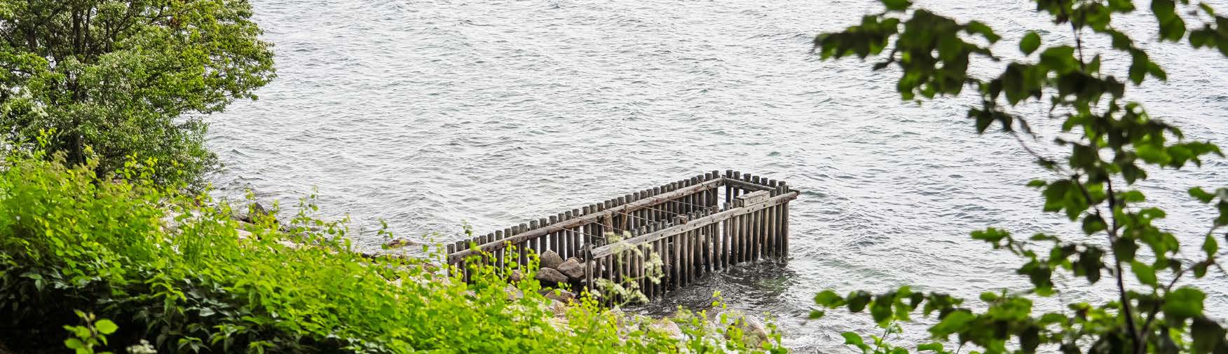 Kysten ved Springforbi med træbro og grønne træer